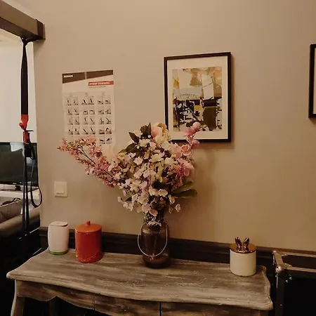 Apartment Cozy 2-pieces Au Coeur Du Haut-marais *